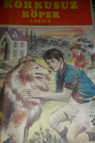 Korkusuz köpek Lassie