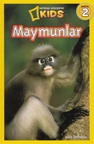 Maymunlar