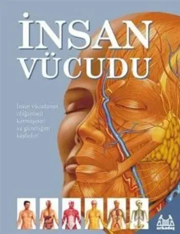 İnsan Vücudu