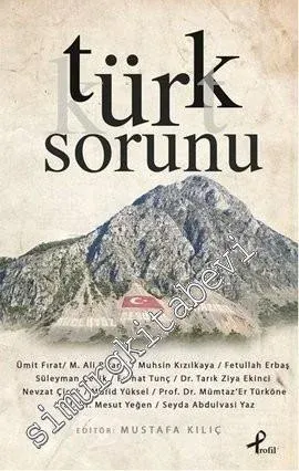 Türk Sorunu -