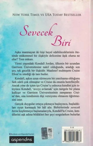 Sevecek Biri Addison Moore Aspendos Yayıncılık %66 indirimli