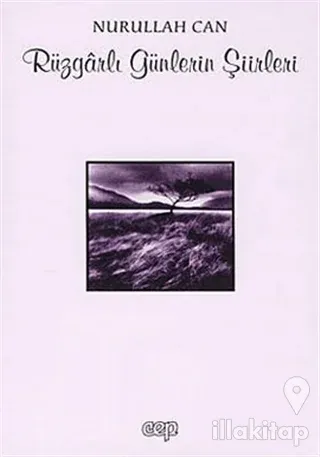Rüzgarlı Günlerin Şiirleri