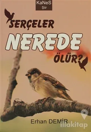 Serçeler Nerede Ölür?