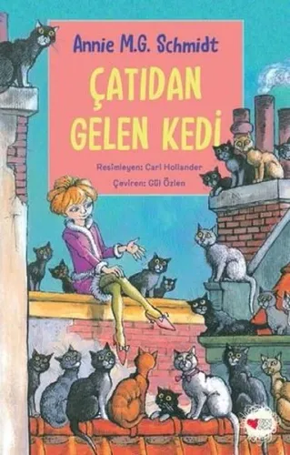 Çatıdan Gelen Kedi | Kitap Ambarı