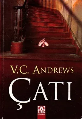 Çatı