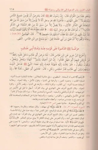 Hayatüs Sahabe 4 Cilt Takım حياة الصحابة 1-4 Muhammed Yusuf Kandehlevi