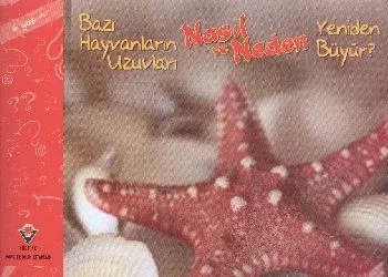 Bazı Hayvanların Uzuvları Nasıl ve Neden Yeniden Büyür 6 Yaş