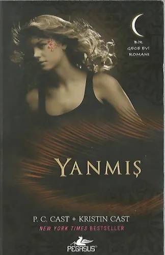 Yanmış Bir Gece Evi Romanı