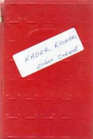 Kader Rüzgarı