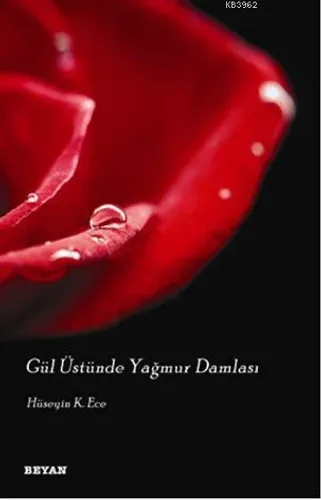 Gül Üstünde Yağmur Damlası