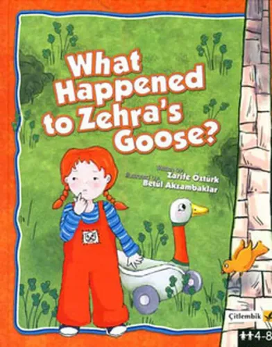 What Happened to Zehra's Goose? (Ciltli)