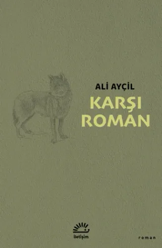 Karşı Roman
