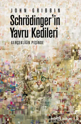 Schrödinger'in Yavru Kedileri; Gerçekliğin Peşinde