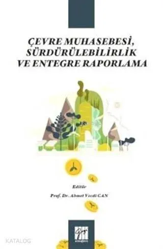 Çevre Muhasebesi, Sürdürülebilirlik ve Entegre Raporlama