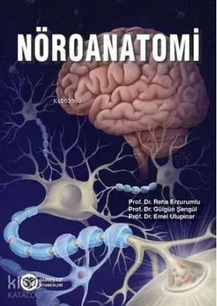 Nöroanatomi