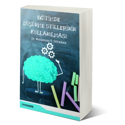 Eğitimde Düşünme Stillerinin Kullanılması