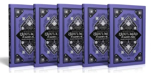 Zadul-Mead Fi Hayril-İbad (5 Cilt)