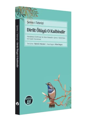 buyuyenayyayinlari.com.tr