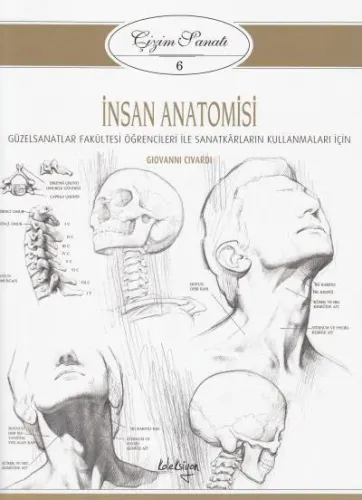 İnsan Anatomisi