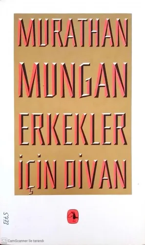 Erkekler İçin Divan