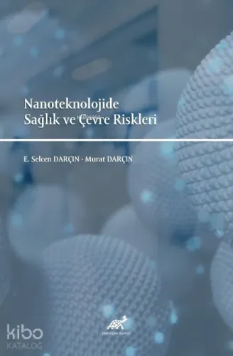 Nanoteknolojide Sağlık ve Çevre Riskleri