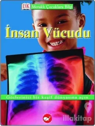 İnsan Vücudu