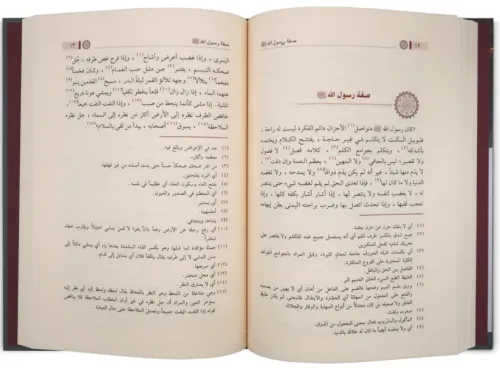 Muhtarat min Edebil Arabi مختارات من أدب العرب Ebul Hasan En Nedvi أبو