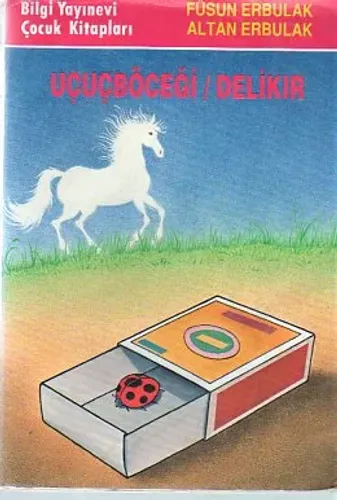 Uçuçböceği / Delikır