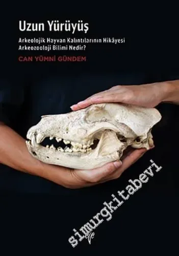 Uzun Yürüyüş. Arkeolojik Hayvan Kalıntılarının Hikâyesi Arkeozooloji Bilimi Nedir -