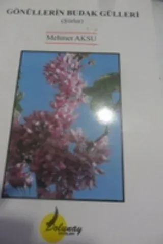 Gönüllerin Budak Gülleri