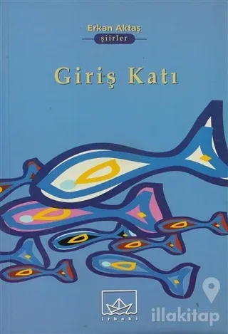 Giriş Katı