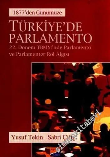 Türkiye'de Parlamento: 1877'den Günümüze, 22. Dönem TBMM'nde Parlamento ve Parlamenter Rol Algısı -