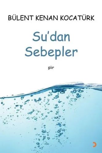 Su'dan Sebepler