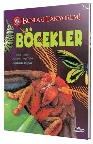 Bunları Tanıyorum! - Böcekler