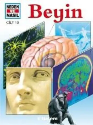 Beyin - Neden ve Nasıl-10
