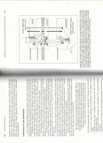 The Surgical Cilinics Of North America John E. Skandalakis W.B. Saunde