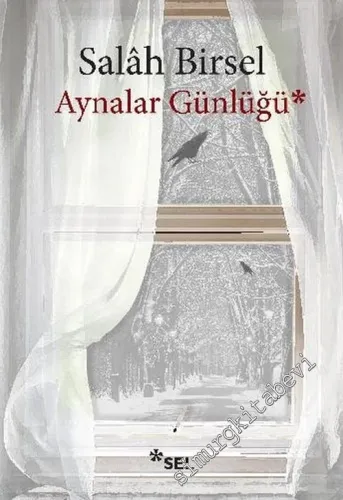 Aynalar Günlüğü -
