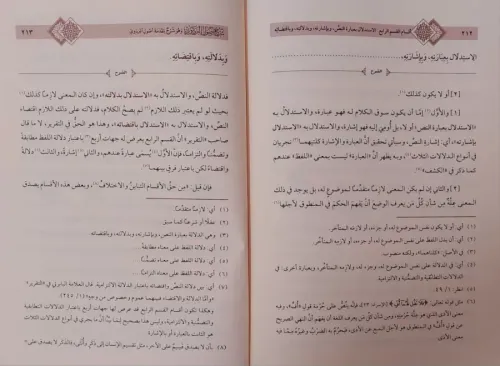 Şerhu usulül Pezdevi شرح أصول البزدوي Molla Hüsrev