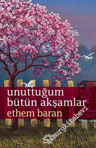 Unuttuğum Bütün Akşamlar -
