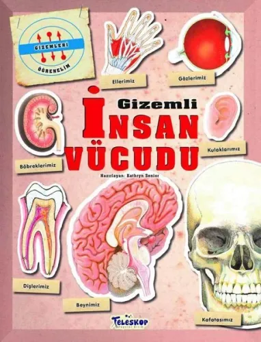 Gizemleri Öğrenelim - Gizemli İnsan Vücudu