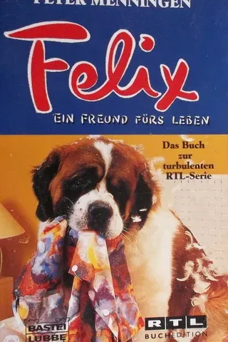 Felix Ein Freund Fürs Leben