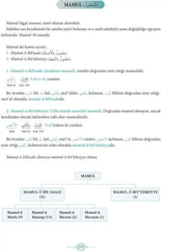 Avamil ve Terkibi Zehra Seven Zehra Seven