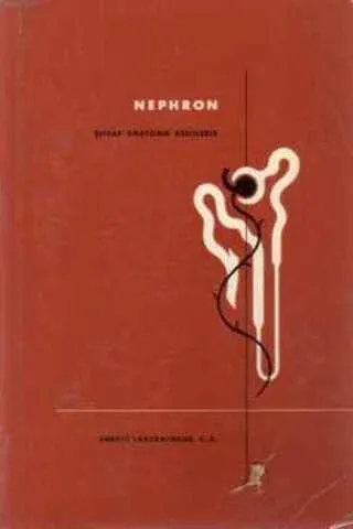 Nephron / Şeffaf Anatomik Kesitlerle