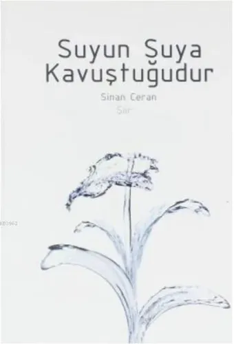 Suyun Suya Kavuştuğudur