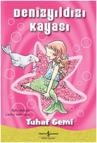 Denizyıldızı Kayası; Tuhaf Gemi