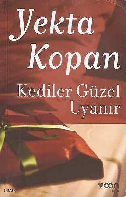 Kediler Güzel Uyanır