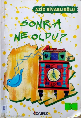 Sonra Ne Oldu?