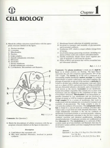 Rush University Review of Surgery (Genel Cerrahi Test Kitabı) Kollekti