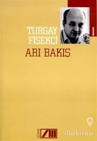 Arı Bakış