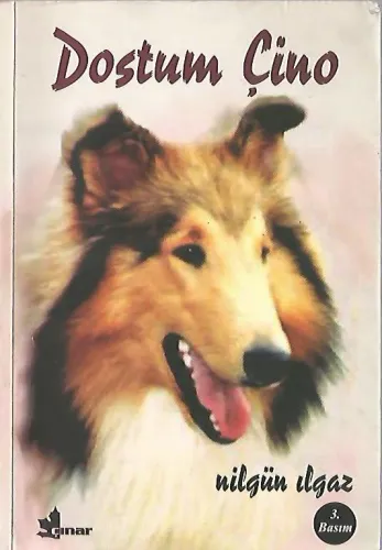 Dostum Çino